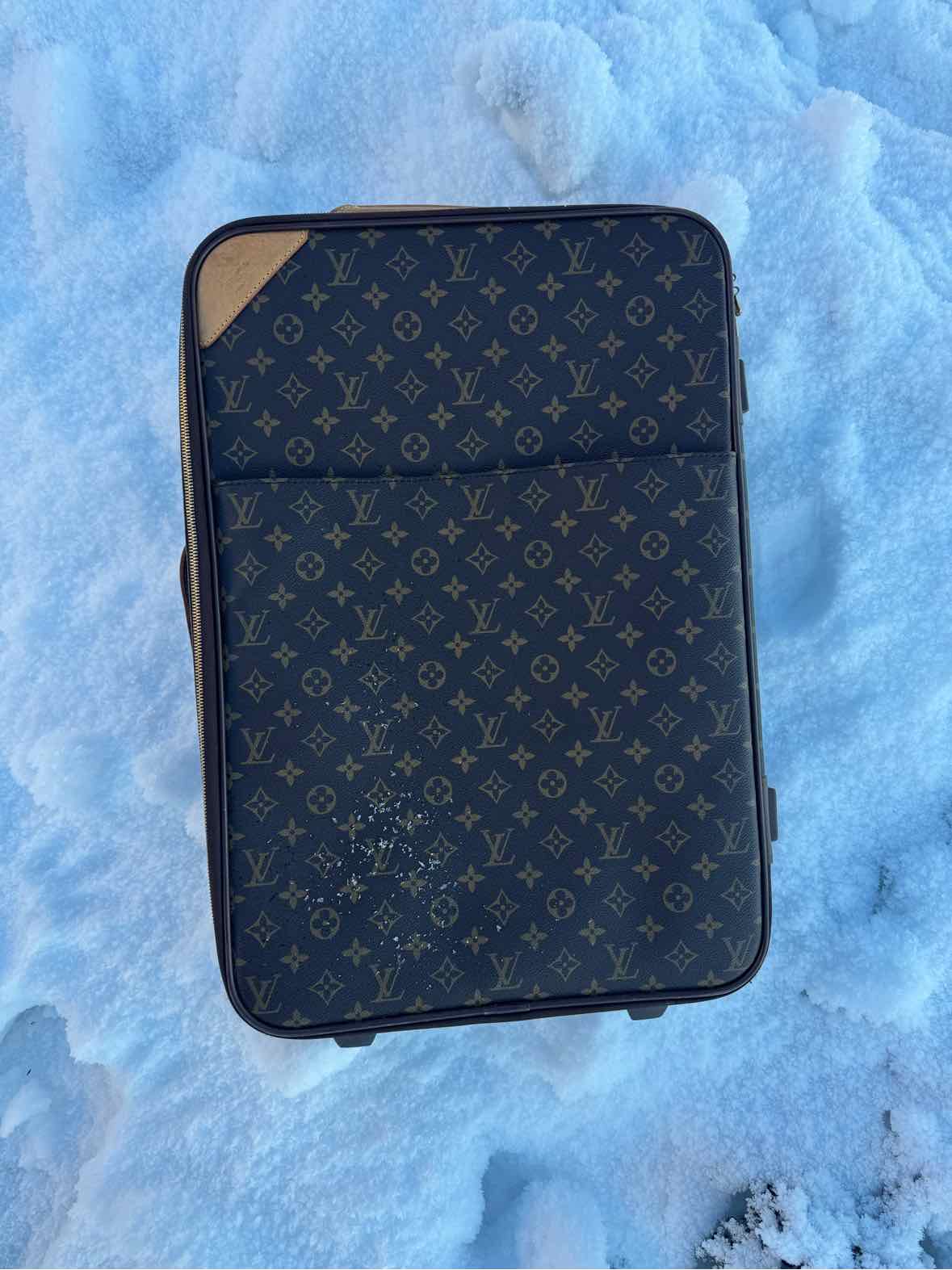 Louis Vuitton Handbags