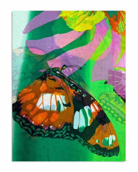 Zazou Scarf