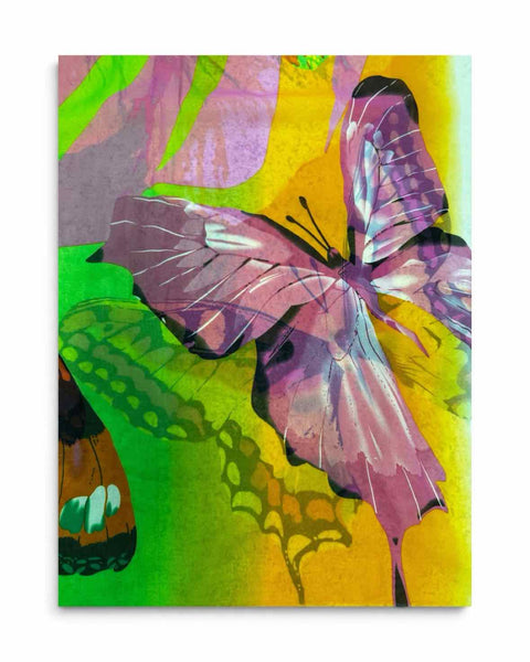 Zazou Scarf