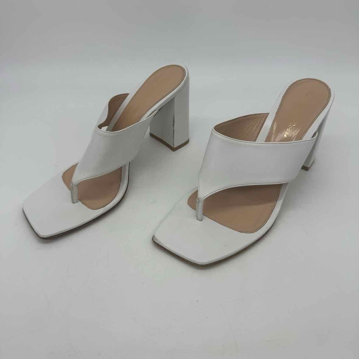Gianvito Rossi Size  39.5 Pumps