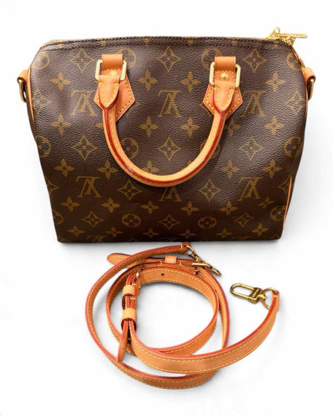 Louis Vuitton Handbag