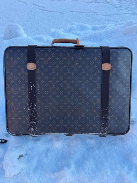 Louis Vuitton Handbags