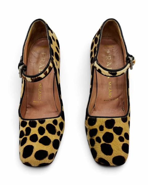 Prada 37.5 Pumps