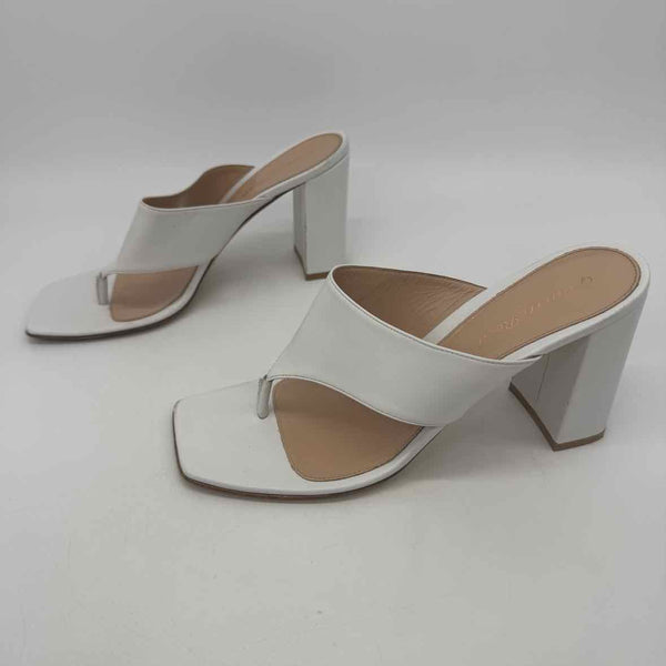 Gianvito Rossi Size  39.5 Pumps