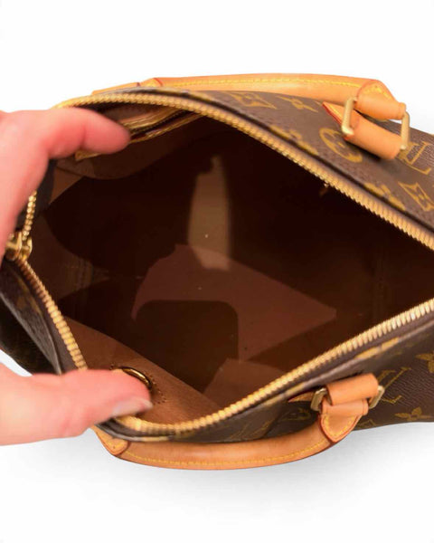 Louis Vuitton Handbag