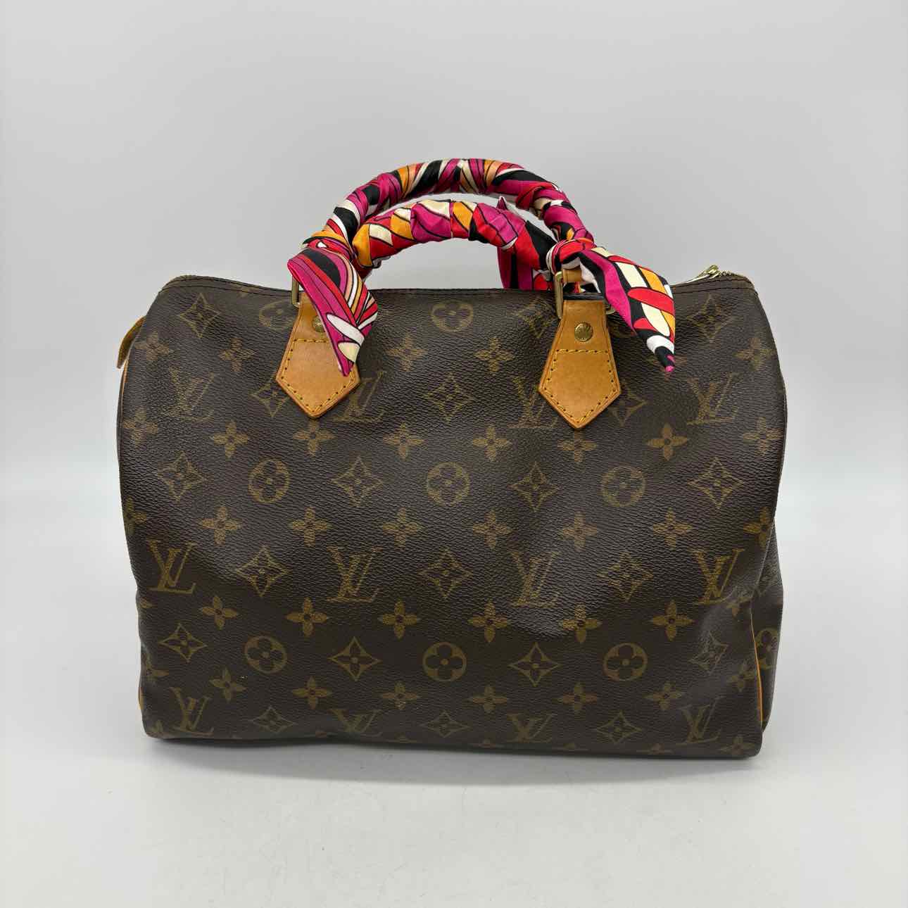 Louis Vuitton Handbags