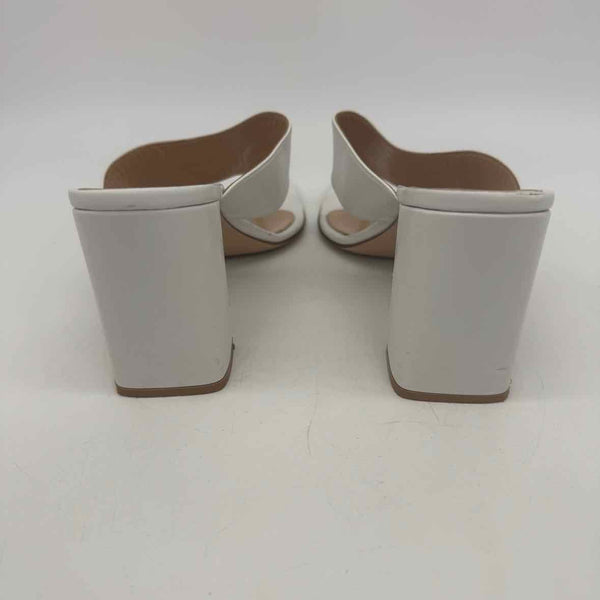 Gianvito Rossi Size  39.5 Pumps
