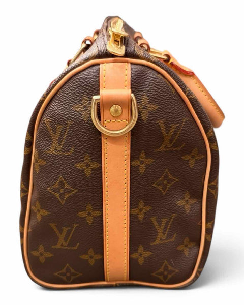 Louis Vuitton Handbag